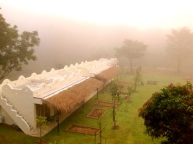 Dandelion Resort