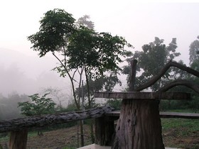 John Garden Home