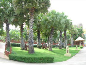Phu Pha Phung Resort