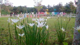 Rai Phurak Resort