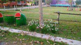 Rai Phurak Resort