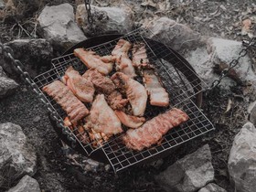 Rewild Camp And Cafe