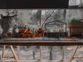 Rewild Camp And Cafe