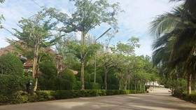 Ruen Sam Ran Resort