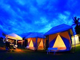 The Camping Field