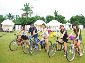 The Camping Field