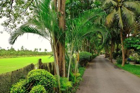 Muaan Resort