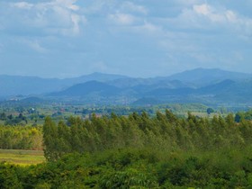 Baanrai Areeya