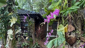 Kawarin Saiyai Cottage And Lake