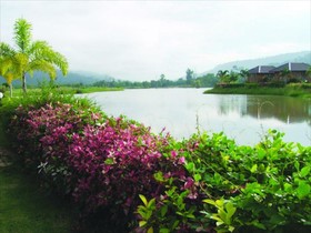 Busai Country View
