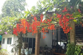 Krisawan Resort