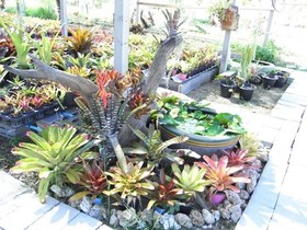 Baan Gord Chaam