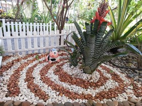 Baan Gord Chaam