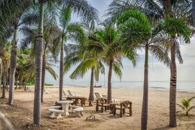 Beach Palace