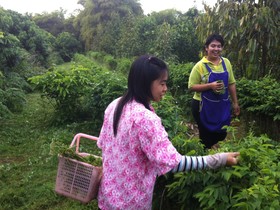 Suanphet Riverview Resort