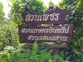 Suanphet Riverview Resort
