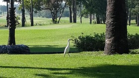 The Imperial Lake View Resort & Golf Club
