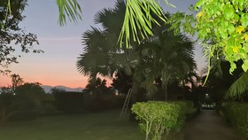 Welcome to our Oasis The Beautiful Bungalow Green
