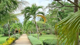 Welcome to our Oasis The Beautiful Bungalow Green