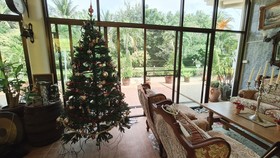 Welcome to our Oasis The Beautiful Bungalow Green