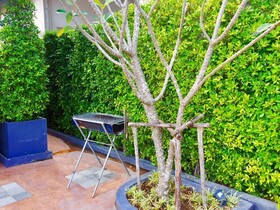 Baan Noppadol Hua Hin Loft Resort
