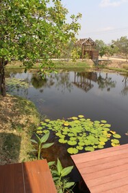 Baan Suan Mulberry Farmstay By Oyo