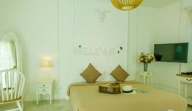 Green Gallery