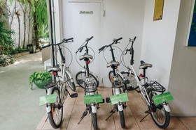 Green Gallery