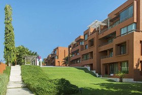 Las Tortugas