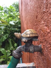 Las Tortugas Condominium