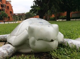 Las Tortugas Condominium