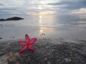 Mod Guesthouse Huahin