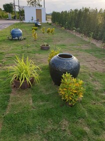 No.9 House Hua Hin