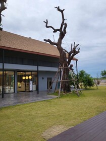 No.9 House Hua Hin