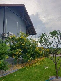 No.9 House Hua Hin