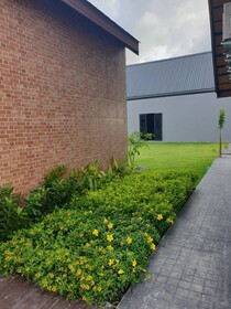 No.9 House Hua Hin