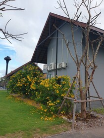 No.9 House Hua Hin
