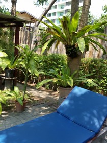 Prinz Garden Villa Hua Hin