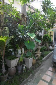 Putthiya Hua Hin Place