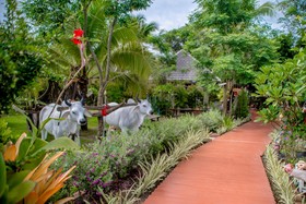 Sawangsok 88 Resort Hua Hin