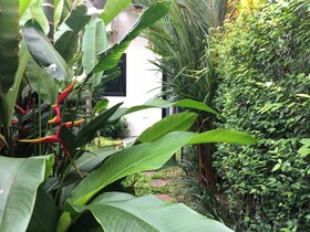 Tandeaw View