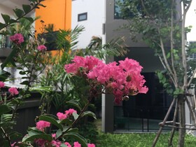 Tandeaw View