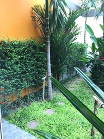 Tandeaw View