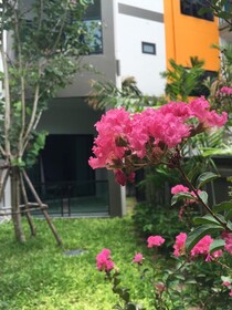 Tandeaw View
