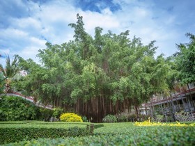 Wora Bura Hua Hin Resort & Spa