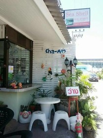 Cha Am Sea Shell