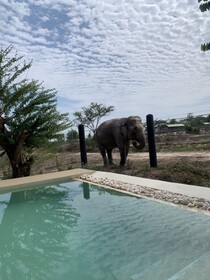 Elephant View Camp