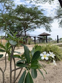 Elephant View Camp