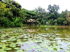 Praipetch Resort