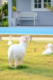 The Memory Luxury Resort